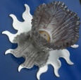 �������� ������� OSD809 [PUR] � ��������-�������� �������� ����
