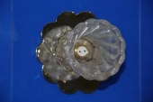 �������� ������� OSD811 [FL] � ��������-�������� �������� ����