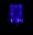 ���������� ��� B81011/2 (WT+GD) � ��������-�������� �������� ����