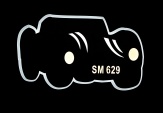 ������ � ������ LJ080/1 LED � ��������-�������� �������� ����
